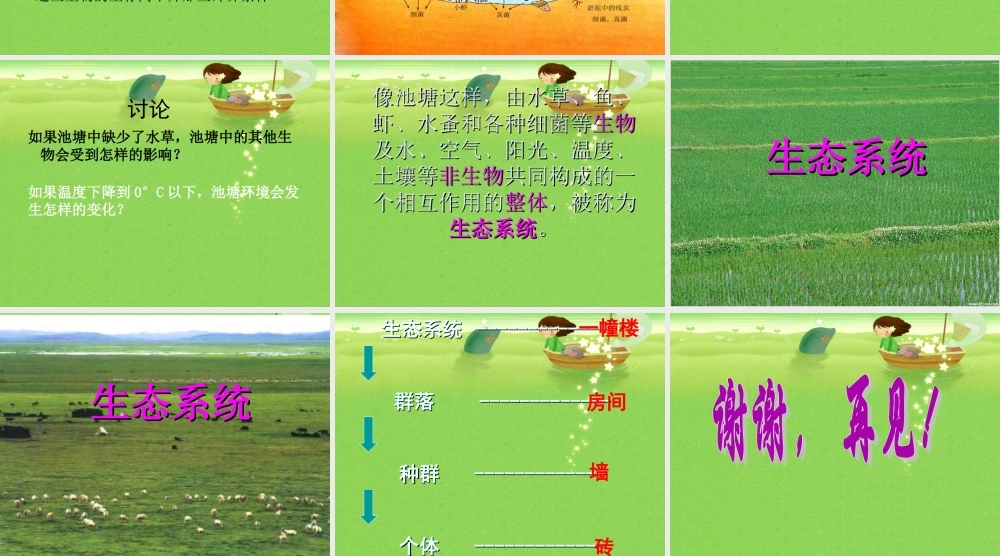 鄂教版小学科学五上《12池塘生物的相互联系》PPT课件【虚拟宝库网www.xunibaoku.com】.ppt