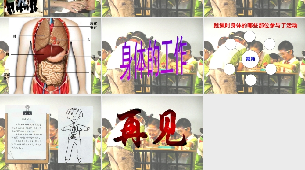 鄂教版小学科学五上《1我们身体的变化》PPT课件【虚拟宝库网www.xunibaoku.com】.ppt