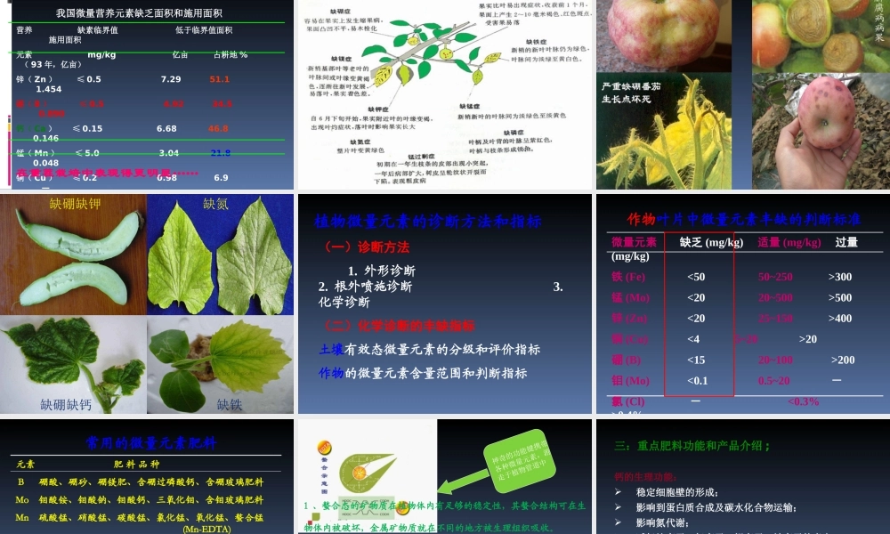 鄂教版小学科学五上《21农作物与化肥》PPT课件【虚拟宝库网www.xunibaoku.com】.ppt