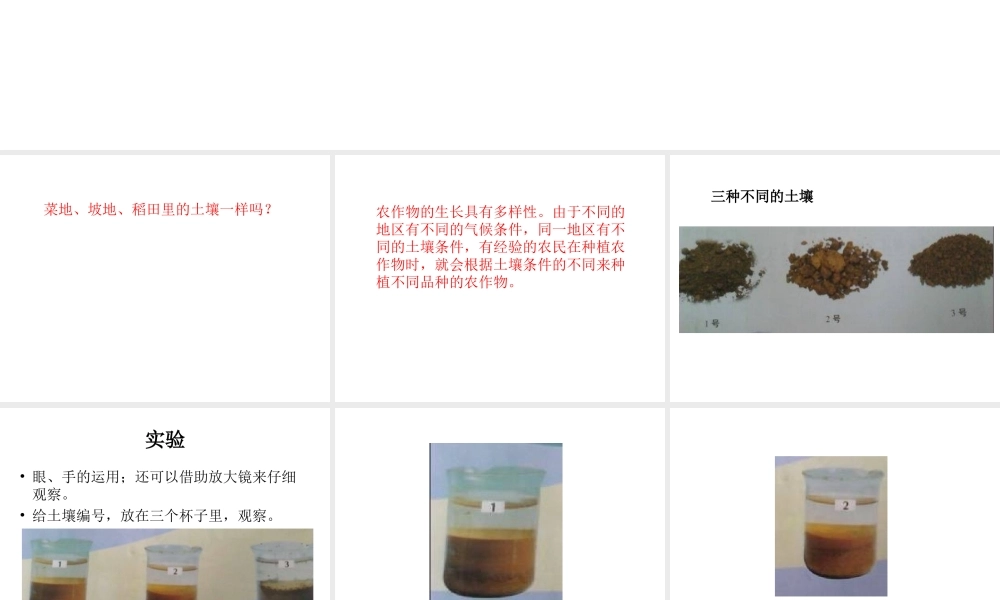 鄂教版小学科学五上《20农作物与土壤》PPT课件【虚拟宝库网www.xunibaoku.com】.ppt