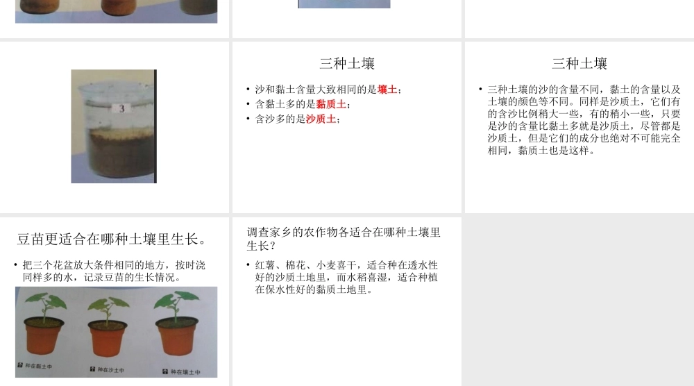 鄂教版小学科学五上《20农作物与土壤》PPT课件【虚拟宝库网www.xunibaoku.com】.ppt