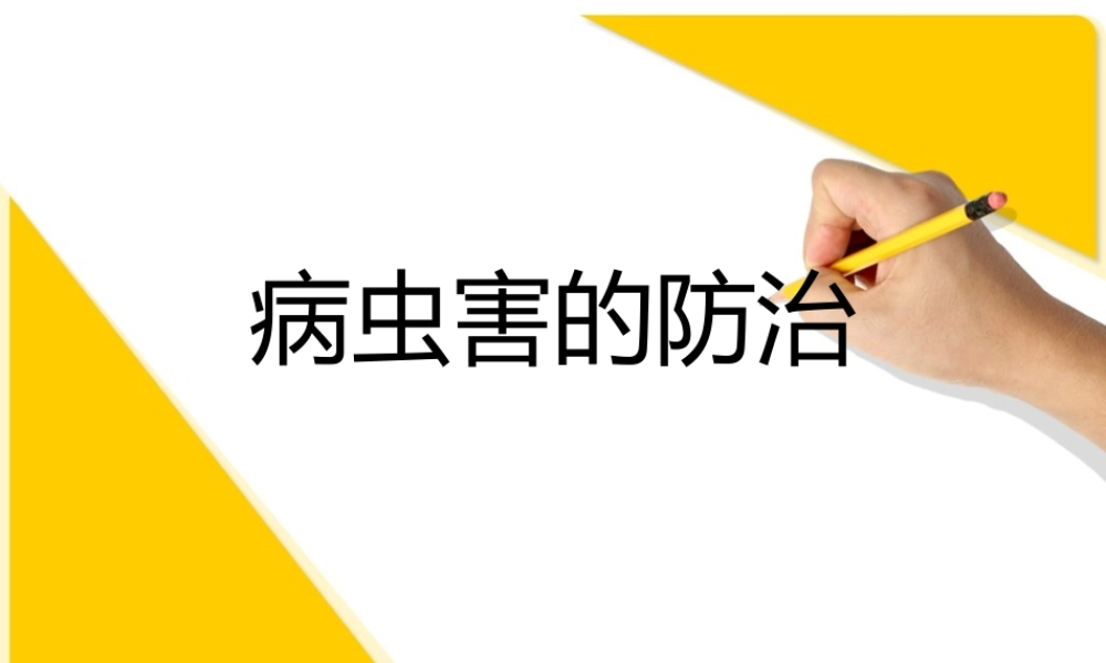 鄂教版小学科学五上《23防治病虫害》PPT课件【虚拟宝库网www.xunibaoku.com】.ppt