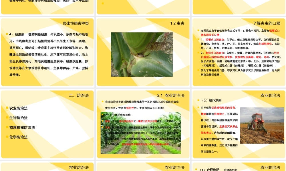 鄂教版小学科学五上《23防治病虫害》PPT课件【虚拟宝库网www.xunibaoku.com】.ppt