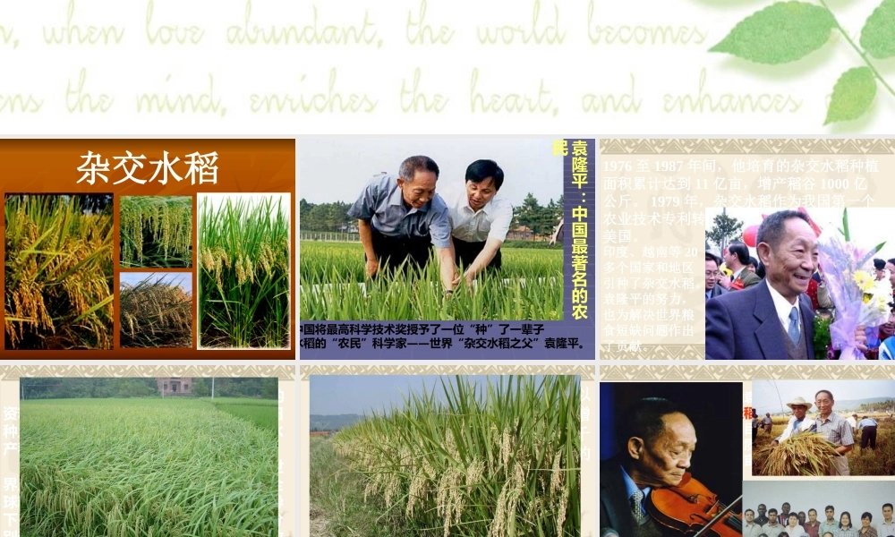 鄂教版小学科学五下《11.生物繁殖新技术》PPT课件【虚拟宝库网www.xunibaoku.com】.ppt