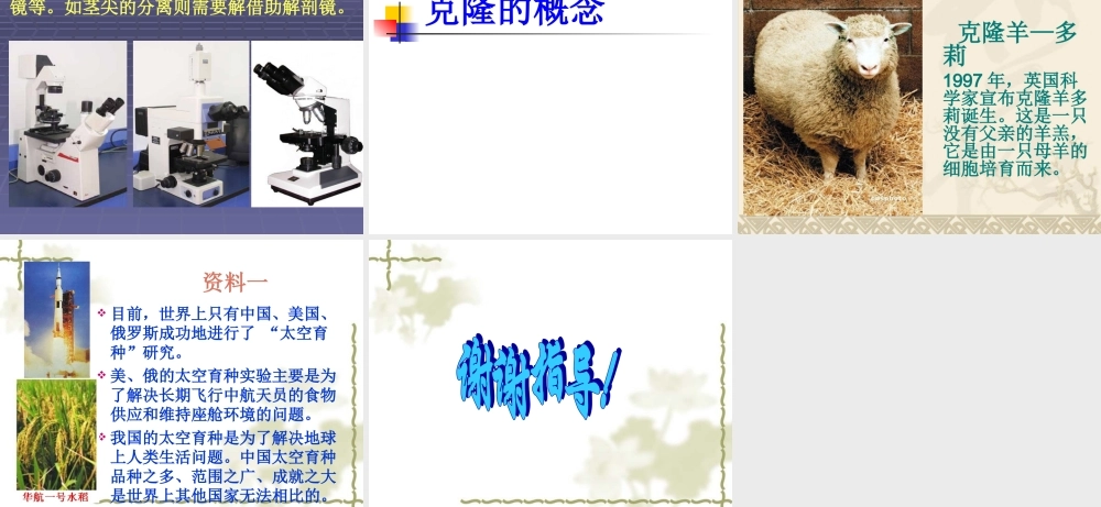 鄂教版小学科学五下《11.生物繁殖新技术》PPT课件【虚拟宝库网www.xunibaoku.com】.ppt