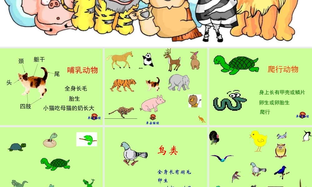 鄂教版小学科学五下《1.形形色色的动物》PPT课件(1)【虚拟宝库网www.xunibaoku.com】.ppt