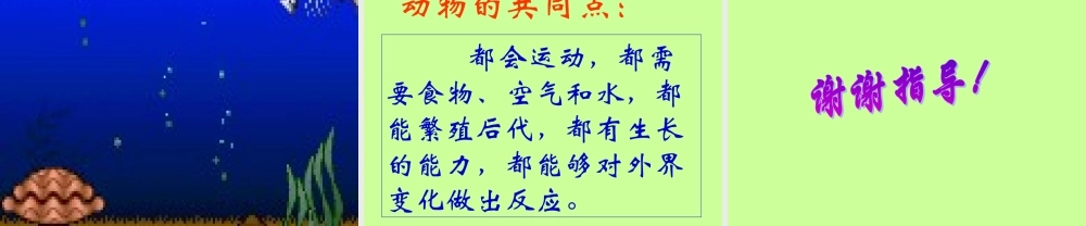 鄂教版小学科学五下《1.形形色色的动物》PPT课件(1)【虚拟宝库网www.xunibaoku.com】.ppt