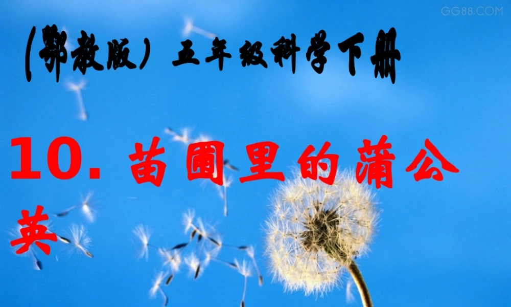 鄂教版小学科学五下《10.苗圃里的蒲公英》PPT课件【虚拟宝库网www.xunibaoku.com】.ppt