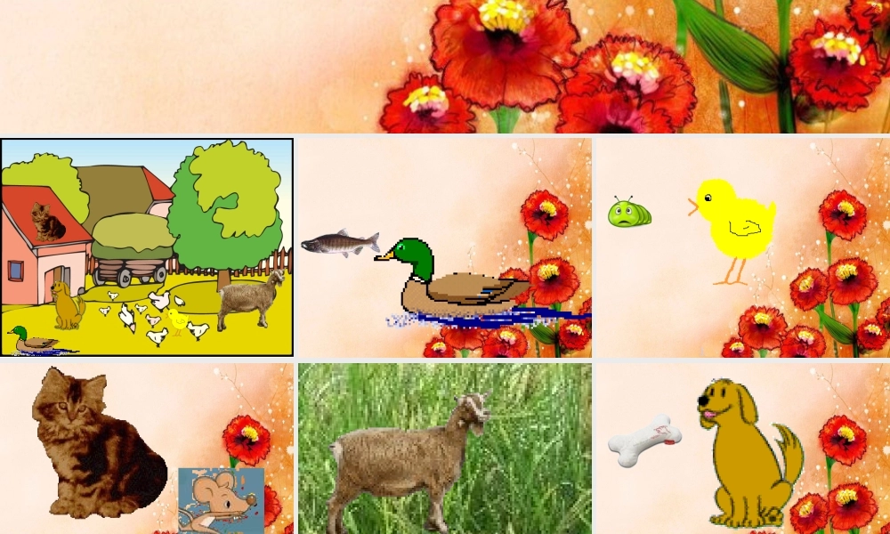 鄂教版小学科学五下《2.动物吃什么》PPT课件【虚拟宝库网www.xunibaoku.com】.ppt