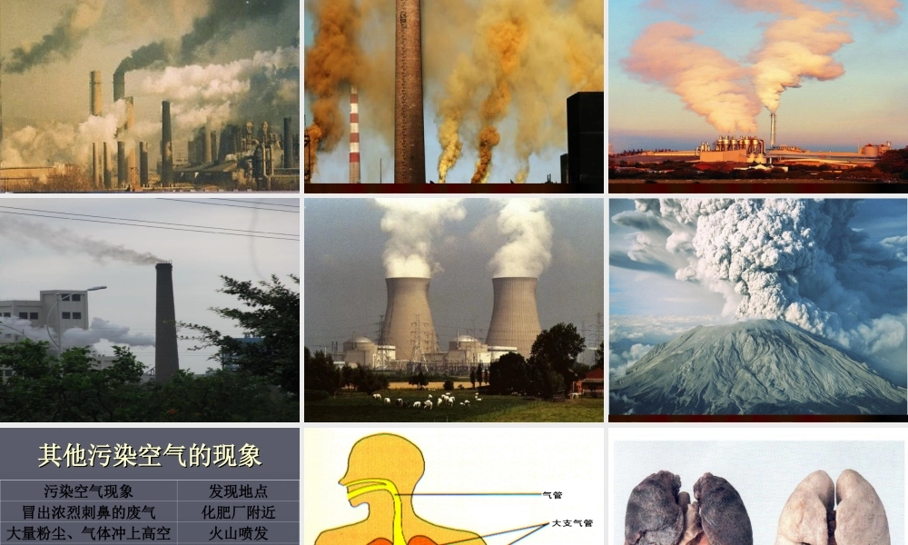 鄂教版小学科学五下《19.我们需要清新的空气》PPT课件【虚拟宝库网www.xunibaoku.com】.ppt