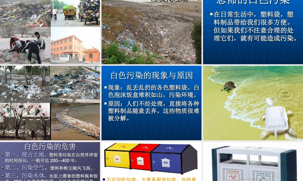 鄂教版小学科学五下《21.一次性的生活用品》PPT课件【虚拟宝库网www.xunibaoku.com】.ppt