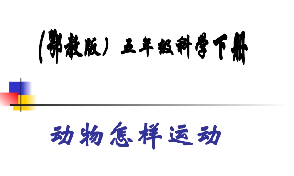 鄂教版小学科学五下《3.动物怎样运动》PPT课件【虚拟宝库网www.xunibaoku.com】.ppt