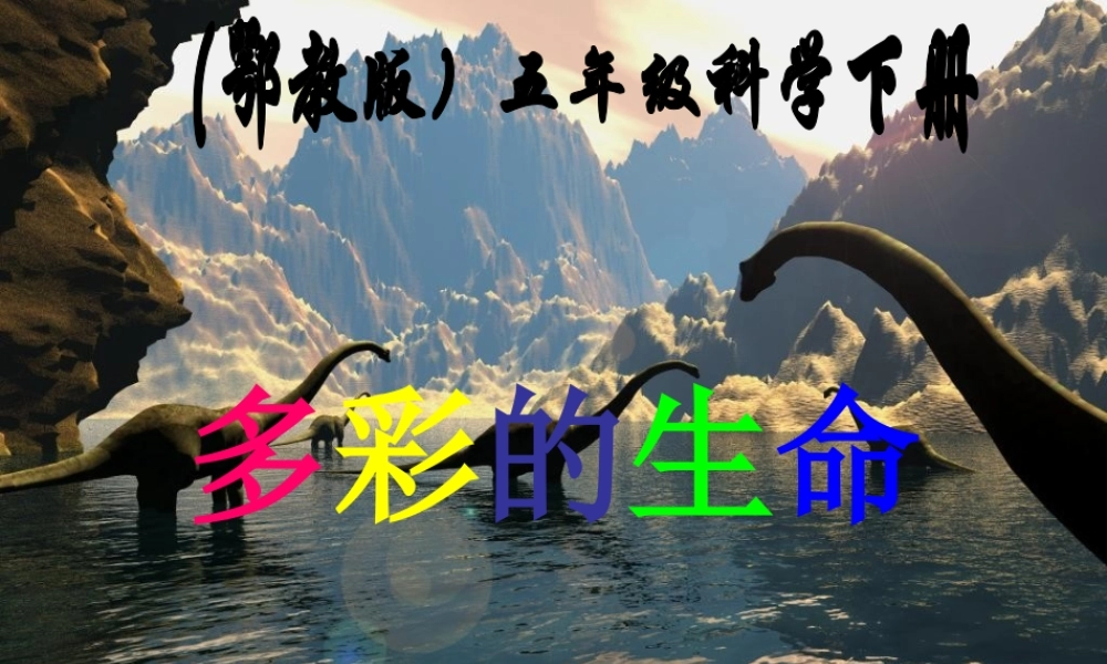 鄂教版小学科学五下《6.多彩的生命》PPT课件【虚拟宝库网www.xunibaoku.com】.ppt