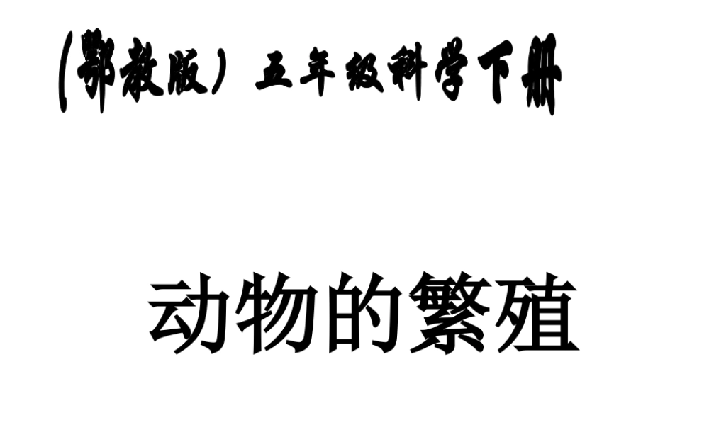鄂教版小学科学五下《5.动物的繁殖》PPT课件(2)【虚拟宝库网www.xunibaoku.com】.ppt