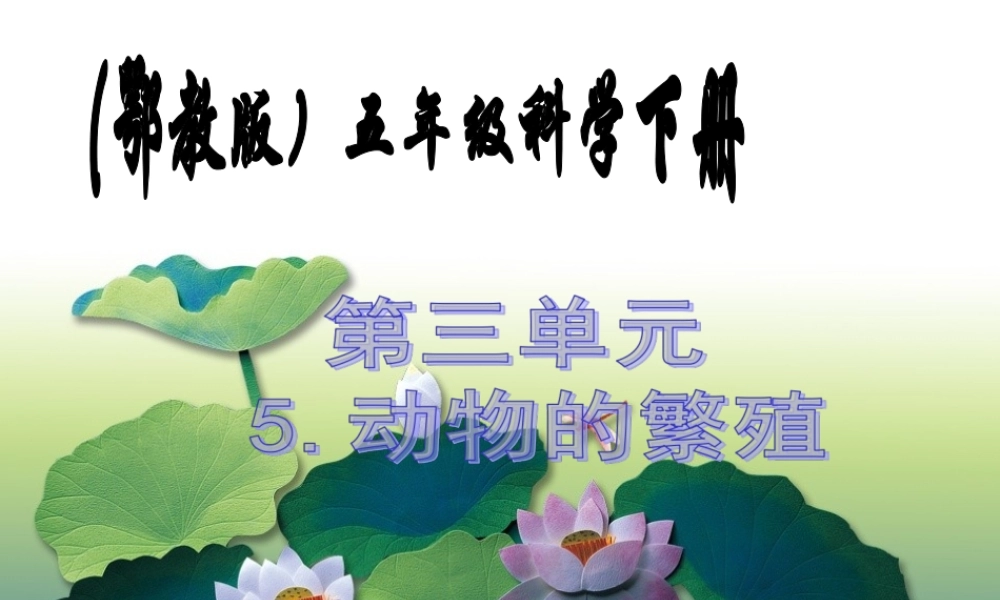 鄂教版小学科学五下《5.动物的繁殖》PPT课件(1)【虚拟宝库网www.xunibaoku.com】.ppt