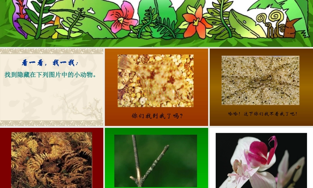 鄂教版小学科学五下《4.动物的防御》PPT课件【虚拟宝库网www.xunibaoku.com】.ppt