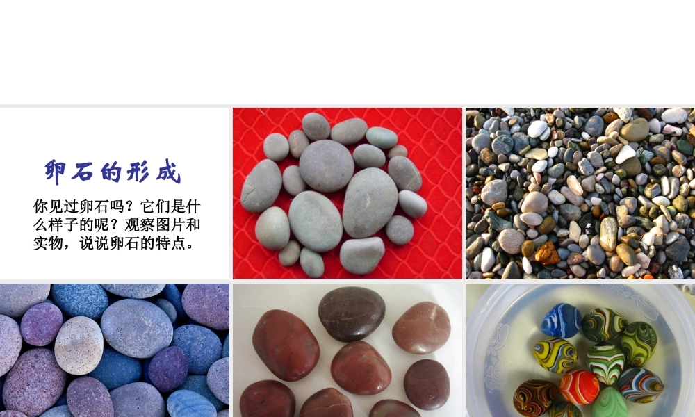 鄂教版小学科学六上《10卵石的形成》PPT课件.ppt
