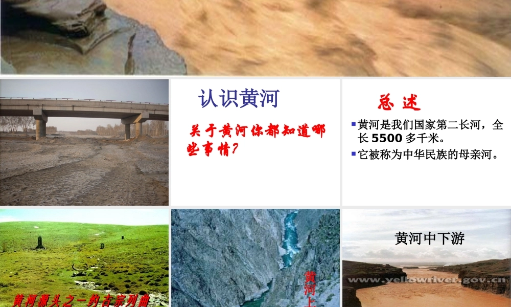 鄂教版小学科学六上《12升高的河床》PPT课件.ppt