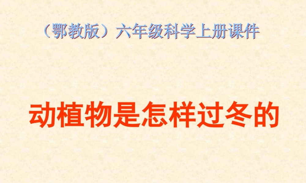 鄂教版小学科学六上《20动植物是怎样过冬的》PPT课件.ppt