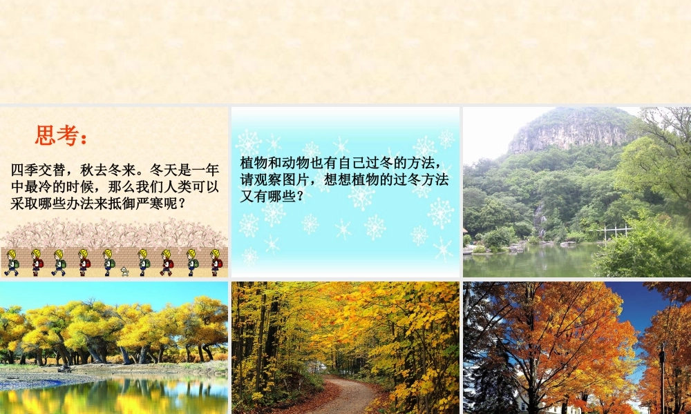 鄂教版小学科学六上《20动植物是怎样过冬的》PPT课件.ppt