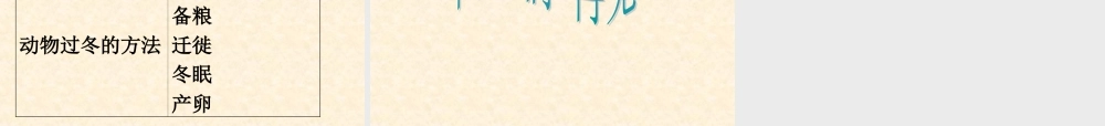 鄂教版小学科学六上《20动植物是怎样过冬的》PPT课件.ppt