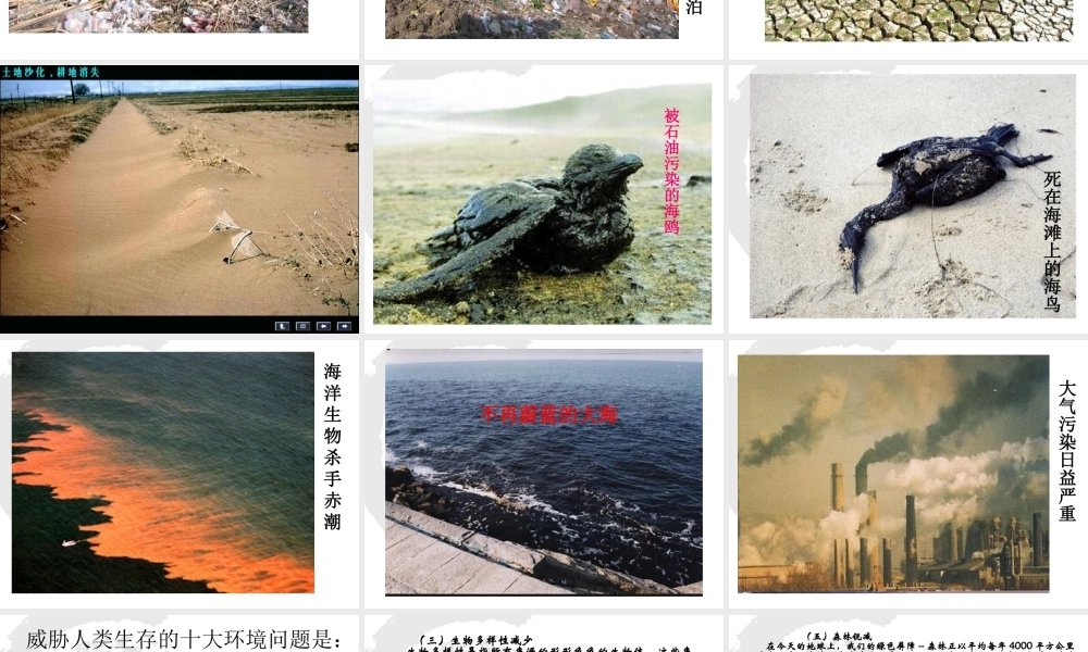 鄂教版小学科学六上《5建立“地球档案”》PPT课件.ppt