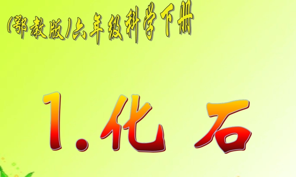 鄂教版小学科学六下《1.化石》PPT课件(2)【虚拟宝库网www.xunibaoku.com】.ppt