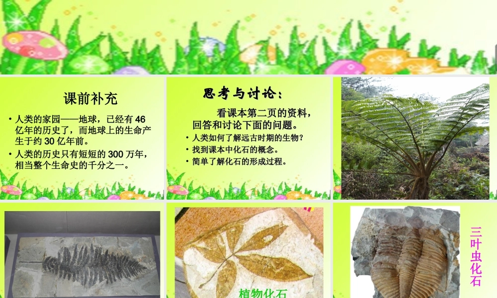 鄂教版小学科学六下《1.化石》PPT课件(2)【虚拟宝库网www.xunibaoku.com】.ppt