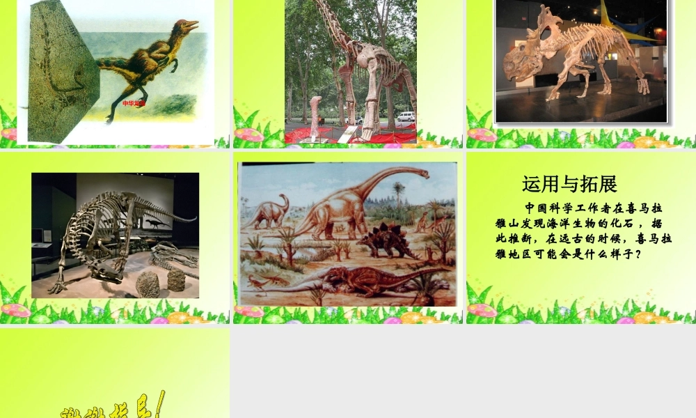 鄂教版小学科学六下《1.化石》PPT课件(2)【虚拟宝库网www.xunibaoku.com】.ppt