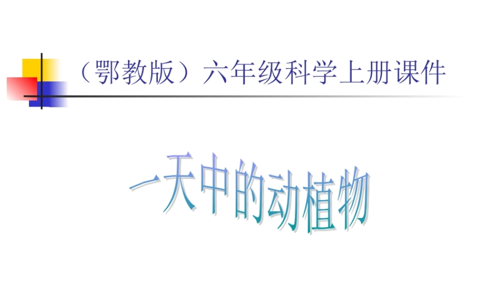 鄂教版小学科学六上《9一天中的动植物》PPT课件 (2).ppt