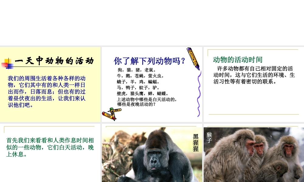 鄂教版小学科学六上《9一天中的动植物》PPT课件 (2).ppt