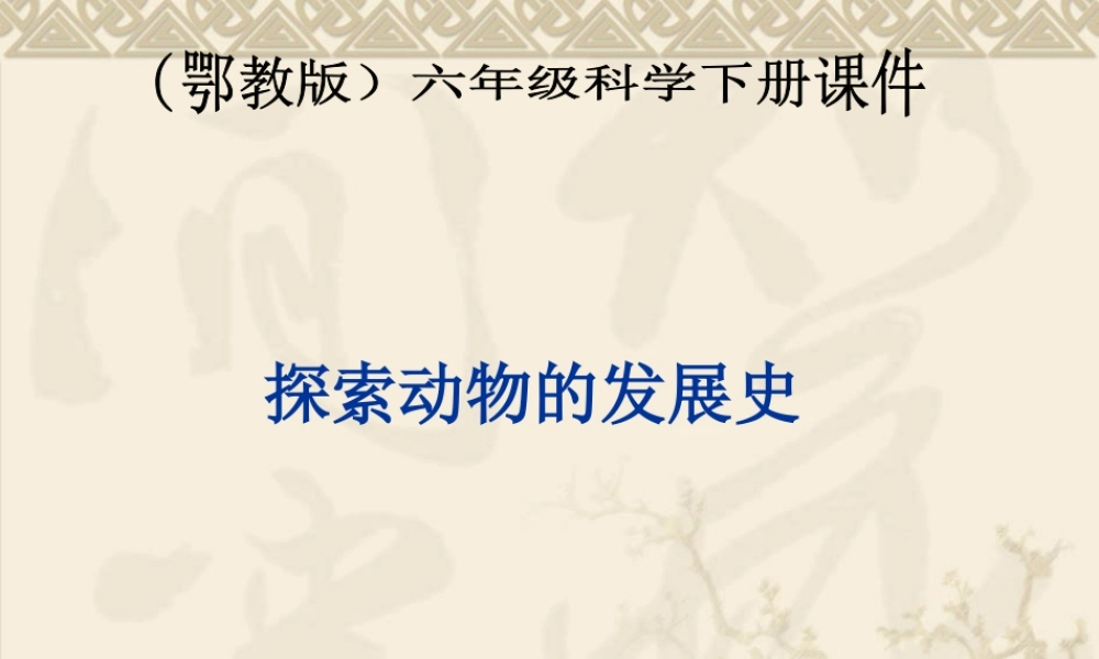 鄂教版小学科学六下《2.探索动物的发展史》PPT课件【虚拟宝库网www.xunibaoku.com】.ppt