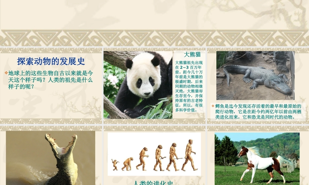 鄂教版小学科学六下《2.探索动物的发展史》PPT课件【虚拟宝库网www.xunibaoku.com】.ppt