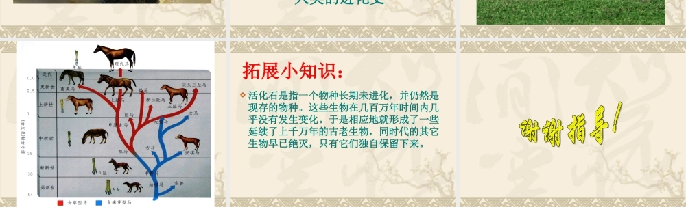 鄂教版小学科学六下《2.探索动物的发展史》PPT课件【虚拟宝库网www.xunibaoku.com】.ppt