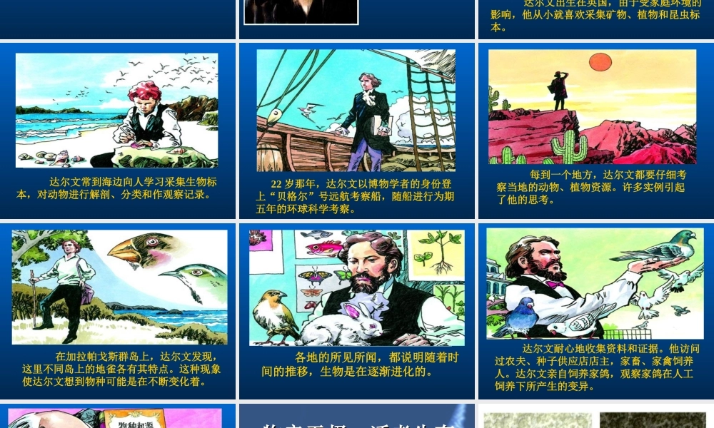 鄂教版小学科学六下《3.谁能生存下来》PPT课件【虚拟宝库网www.xunibaoku.com】.ppt