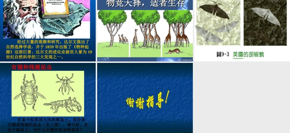 鄂教版小学科学六下《3.谁能生存下来》PPT课件【虚拟宝库网www.xunibaoku.com】.ppt