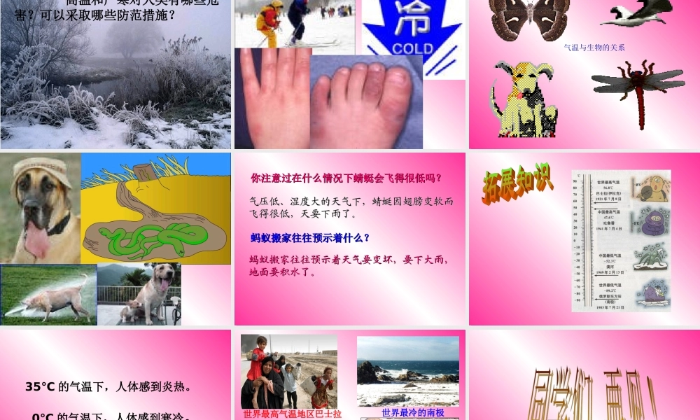 鄂教版小学科学四上《11今天的气温是多少》PPT课件【虚拟宝库网www.xunibaoku.com】.ppt