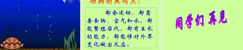 鄂教版小学科学四上《10更多的小动物》PPT课件【虚拟宝库网www.xunibaoku.com】.ppt