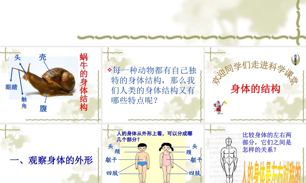 鄂教版小学科学四上《18运动前后》PPT课件【虚拟宝库网www.xunibaoku.com】.ppt
