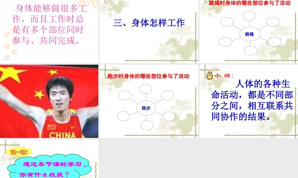 鄂教版小学科学四上《18运动前后》PPT课件【虚拟宝库网www.xunibaoku.com】.ppt