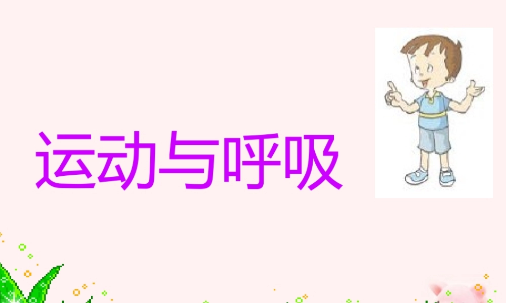 鄂教版小学科学四上《19运动与呼吸》PPT课件【虚拟宝库网www.xunibaoku.com】.ppt