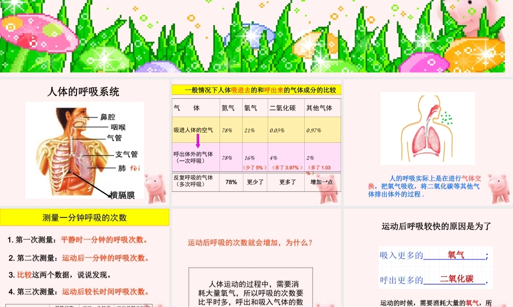 鄂教版小学科学四上《19运动与呼吸》PPT课件【虚拟宝库网www.xunibaoku.com】.ppt