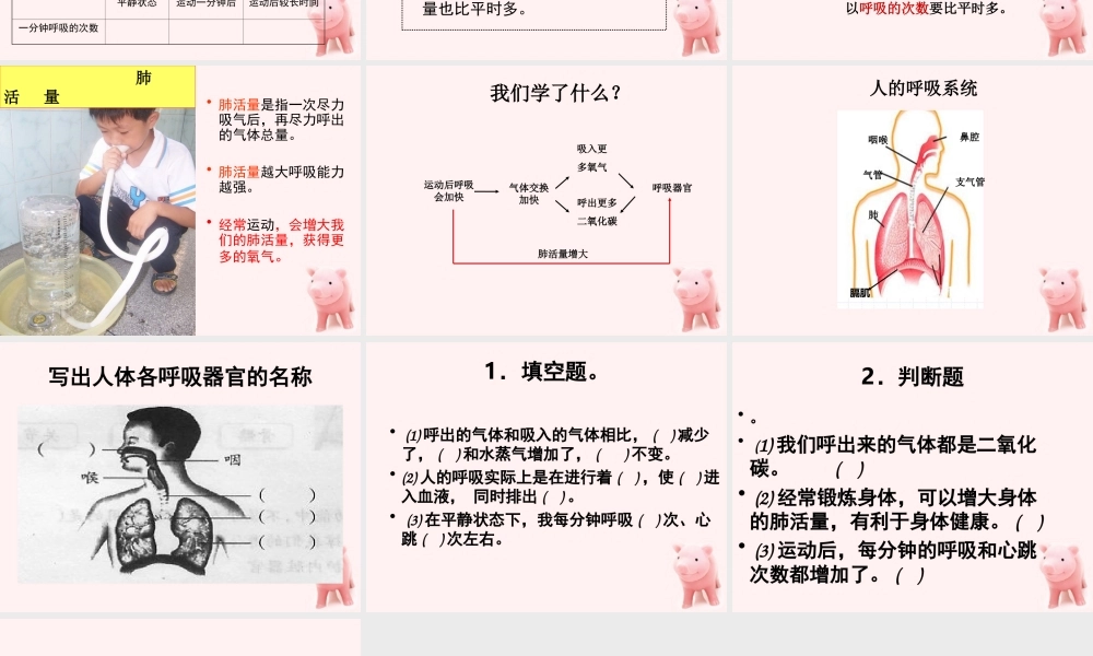 鄂教版小学科学四上《19运动与呼吸》PPT课件【虚拟宝库网www.xunibaoku.com】.ppt