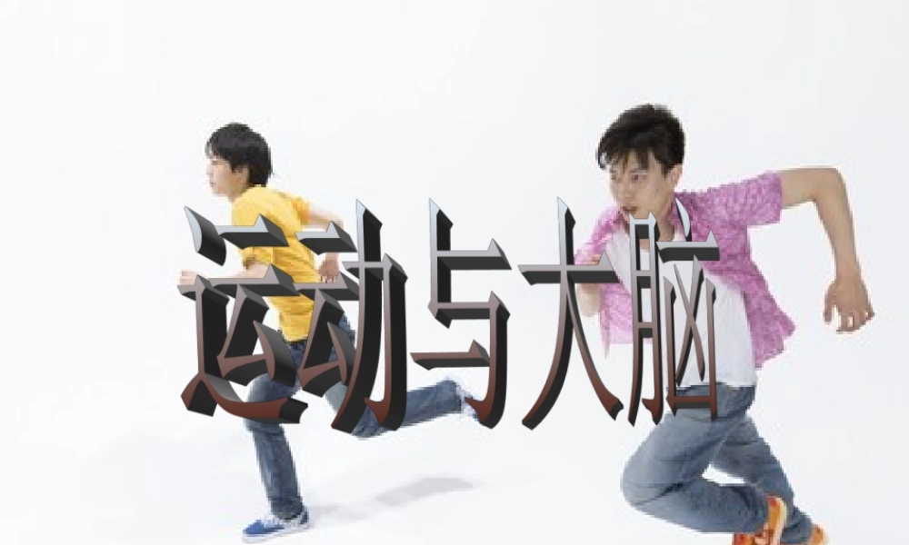 鄂教版小学科学四上《21运动与大脑》PPT课件【虚拟宝库网www.xunibaoku.com】.ppt