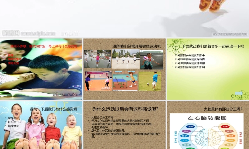 鄂教版小学科学四上《21运动与大脑》PPT课件【虚拟宝库网www.xunibaoku.com】.ppt