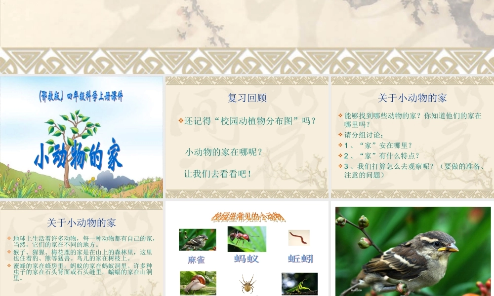 鄂教版小学科学四上《8小动物的家》PPT课件【虚拟宝库网www.xunibaoku.com】.ppt