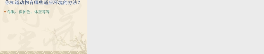 鄂教版小学科学四上《8小动物的家》PPT课件【虚拟宝库网www.xunibaoku.com】.ppt