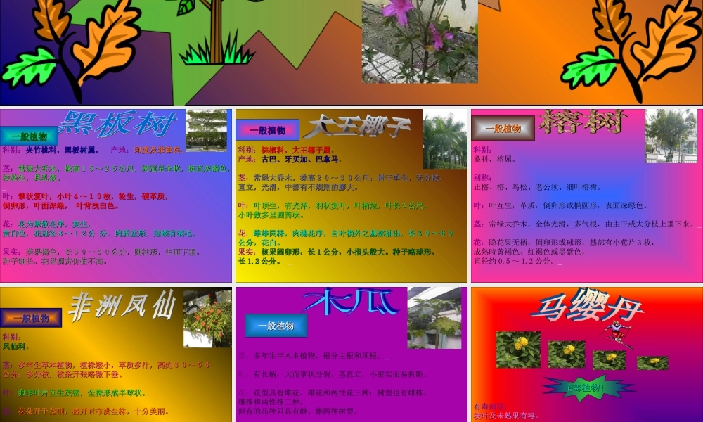 鄂教版小学科学四上《6校园里有哪些动填物》PPT课件 (1)【虚拟宝库网www.xunibaoku.com】.ppt