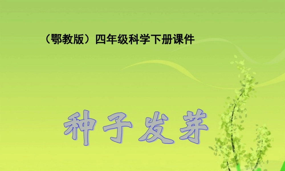 鄂教版小学科学四下优质公开课《2.种子发芽》PPT课件(5) 【虚拟宝库网www.xunibaoku.com】.ppt