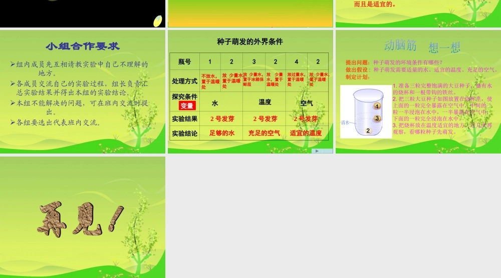 鄂教版小学科学四下优质公开课《2.种子发芽》PPT课件(5) 【虚拟宝库网www.xunibaoku.com】.ppt